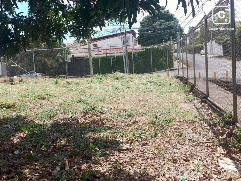 Terreno en venta en Santo Domingo, Managua – 4,205 varas²
