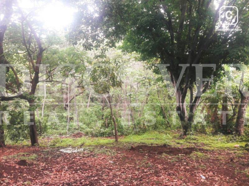 Terreno en venta en Carretera Vieja a León, Managua – 1,100 varas²