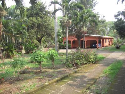 Finca en venta o alquiler en Jinotepe, Carazo – 3 hab, 10,000 varas²