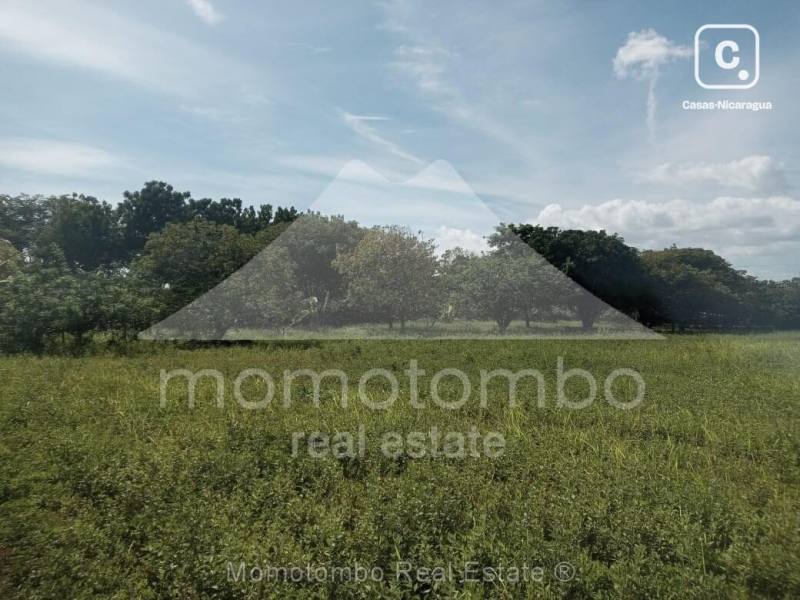 Finca en venta en Masaya – 5 hab, 55,000 varas²