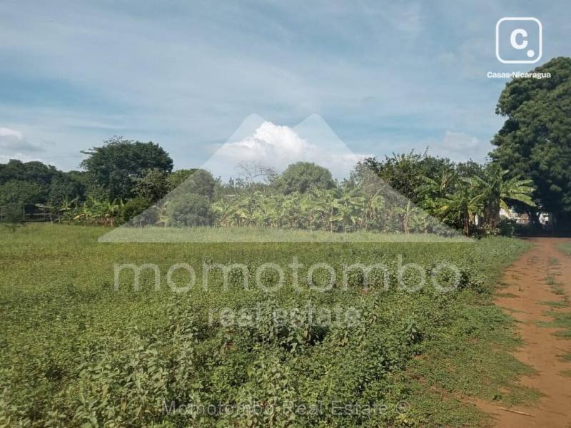 Finca en venta en Masaya – 5 hab, 55,000 varas²