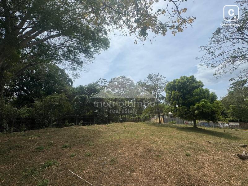 Terreno en venta en Santo Domingo, Managua – 9,616 varas²