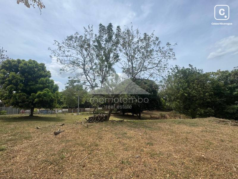 Terreno en venta en Santo Domingo, Managua – 9,616 varas²