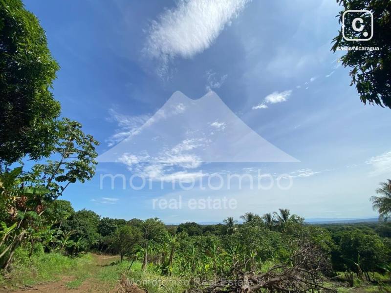 Finca en venta en Carretera Masaya, Managua – 96,700 varas²