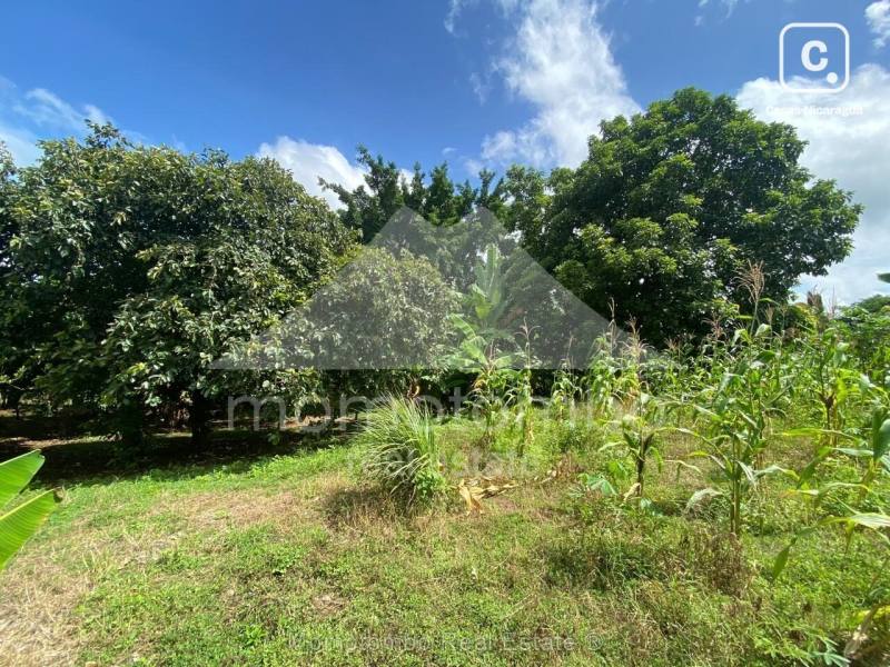 Terreno en venta en Carretera Masaya, Managua – 4,657 varas², US$ 90,000