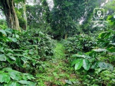 Finca en venta en San Marcos, Carazo – 1,073,422 varas²