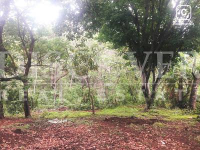 Terreno en venta en Carretera Vieja a León, Managua – 1,100 varas²