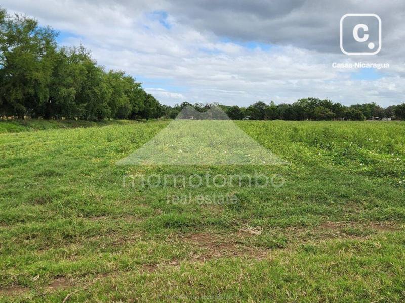 Terreno en venta o alquiler en Sábana Grande, Managua – 60,000 varas²