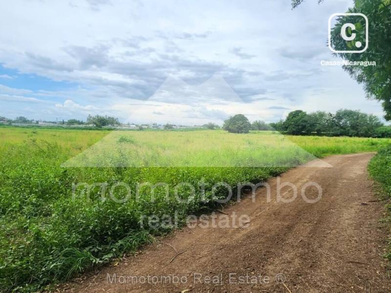 Terreno en venta o alquiler en Sábana Grande, Managua – 60,000 varas²