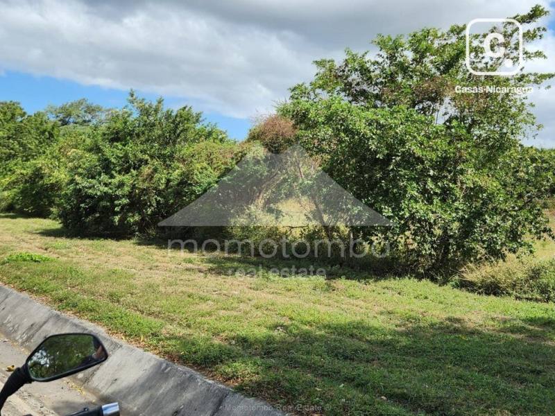 Terreno en venta o alquiler en Sábana Grande, Managua – 60,000 varas²