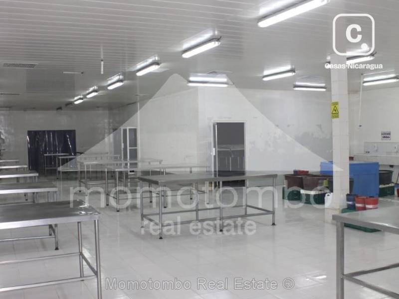 Bodega en venta o alquiler en Mateare, Managua – 1,364 m²