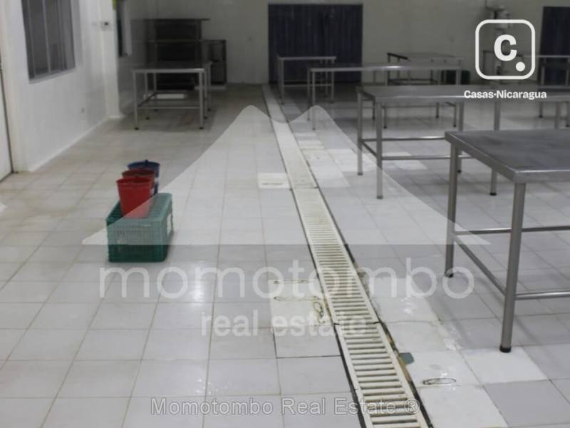 Bodega en venta o alquiler en Mateare, Managua – 1,364 m²