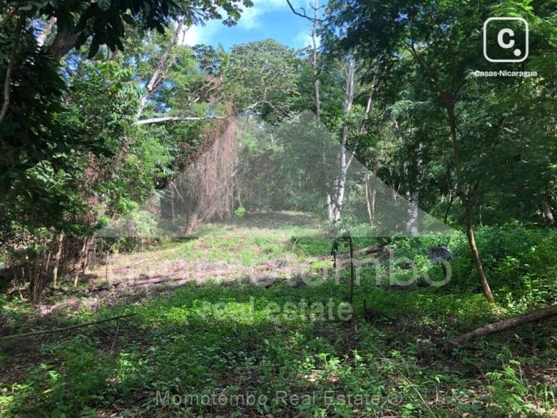 Terreno en venta en Santo Domingo, Managua – 2,500 varas², US$ 137,500