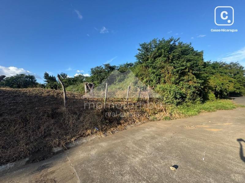 Terreno en venta en Las Colinas, Managua – 100,000 varas²