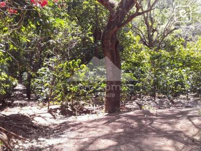 Finca en venta en Crucero, Managua – 20,000 varas²