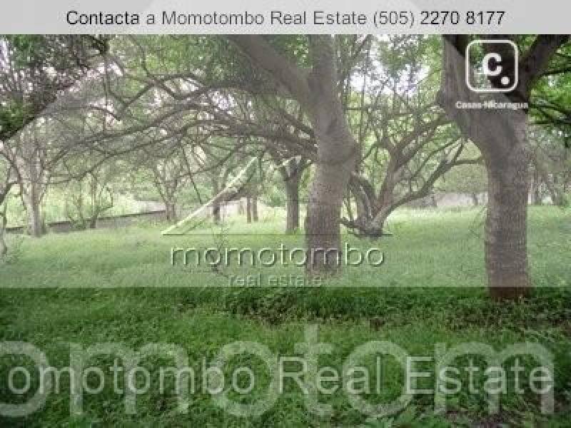 Terreno en venta en Las Colinas, Managua – 2,800 varas²