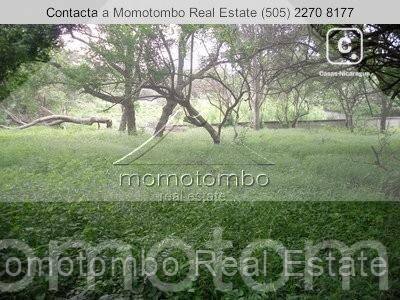 Terreno en venta en Las Colinas, Managua – 2,500 varas²