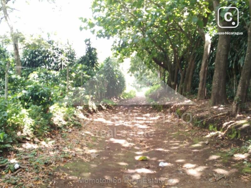 Finca en venta en Diriamba, Carazo – 290,000 varas²