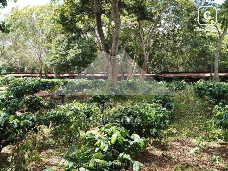 Finca en venta en Diriamba, Carazo – 290,000 varas²