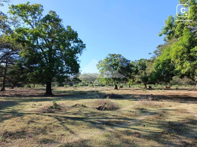 Finca en venta en Nagarote, León – 620,000 varas²