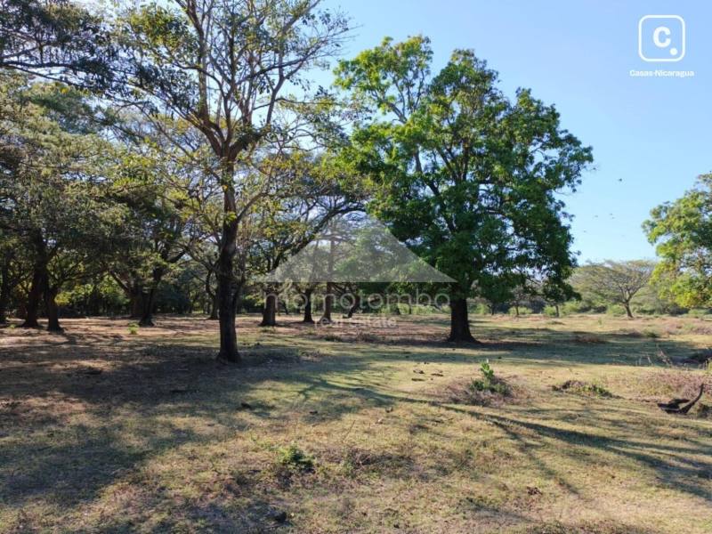 Finca en venta en Nagarote, León – 620,000 varas²