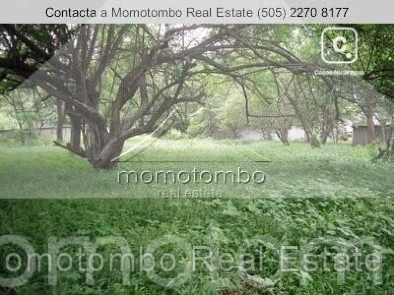 Terreno en venta en Las Colinas, Managua – 2,500 varas²