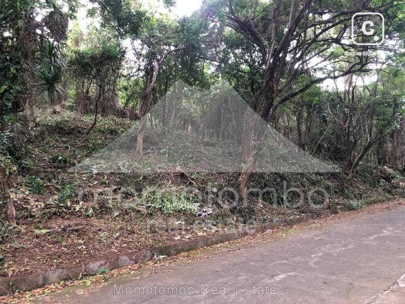 Terreno en venta en Santo Domingo, Managua – 10,002 varas²