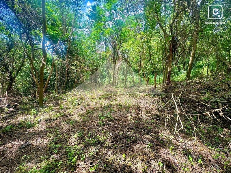 Terreno en venta en Villa Fontana Sur, Managua – 15,000 varas²