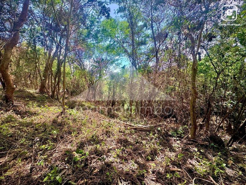 Terreno en venta en Villa Fontana Sur, Managua – 15,000 varas²