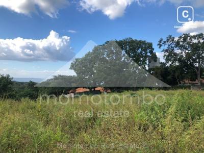 Terreno en venta en Villa Fontana Sur, Managua – 30,000 varas²