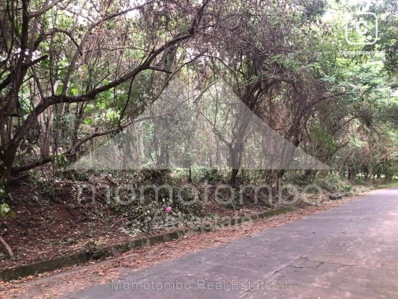 Terreno en venta en Santo Domingo, Managua – 10,000 varas²