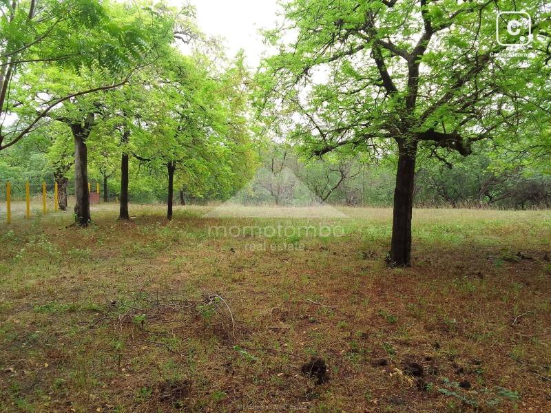 Terreno en venta en El Transito, León – 3,388 varas²