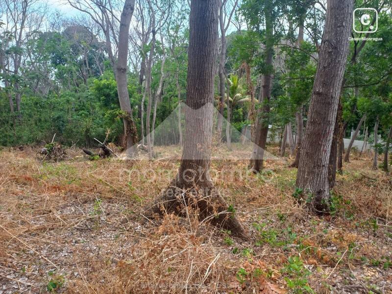 Terreno en venta en Carretera Sur, Managua – 3,500 varas²