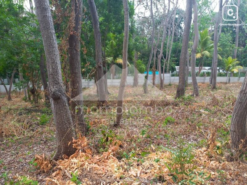 Terreno en venta en Carretera Sur, Managua – 3,500 varas²