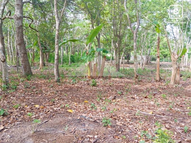 Terreno en venta en Jinotepe, Carazo – 640 varas²
