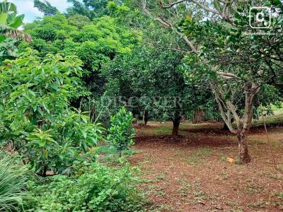 Terreno en venta en Carretera Masaya, Managua – 4,657 varas²