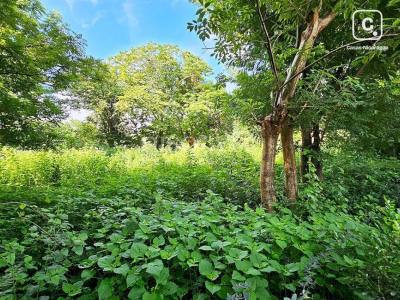 Terreno en venta en Nindirí, Masaya – 712 varas²