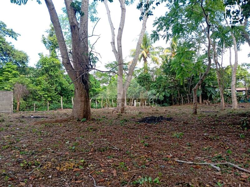 Terreno en venta en Jinotepe, Carazo – 800 varas², US$ 18,000