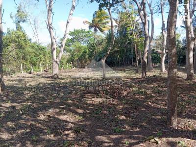 Terreno en venta en Jinotepe, Carazo – 800 varas²