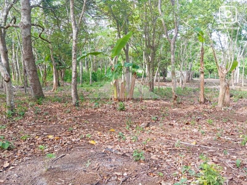 Terreno en venta en Jinotepe, Carazo – 800 varas², US$ 18,000