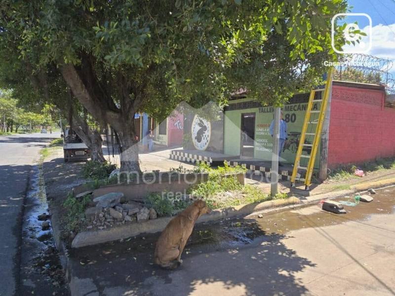 Local comercial en alquiler en Carretera Norte, Managua – 150 m², US$ 800/mes