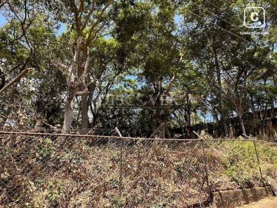 Terreno en venta en Santo Domingo, Managua – 4,000 varas²