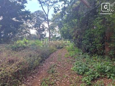 Terreno en venta en Veracruz, Managua – 30,000 varas²
