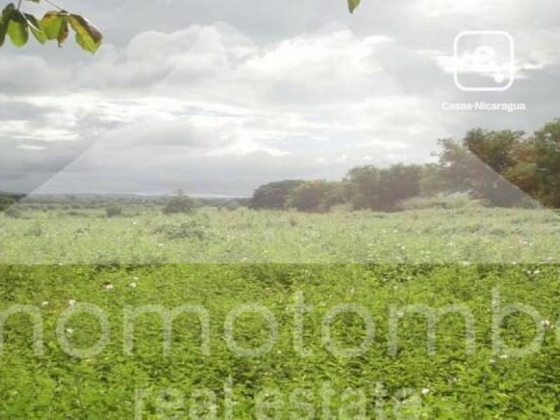 Terreno en venta en Veracruz, Managua – 40,000 varas²