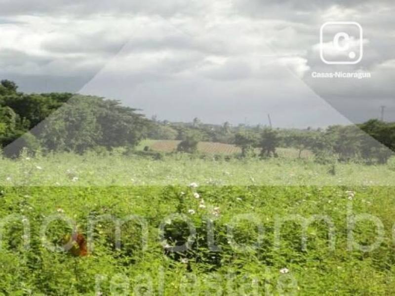 Terreno en venta en Veracruz, Managua – 40,000 varas²