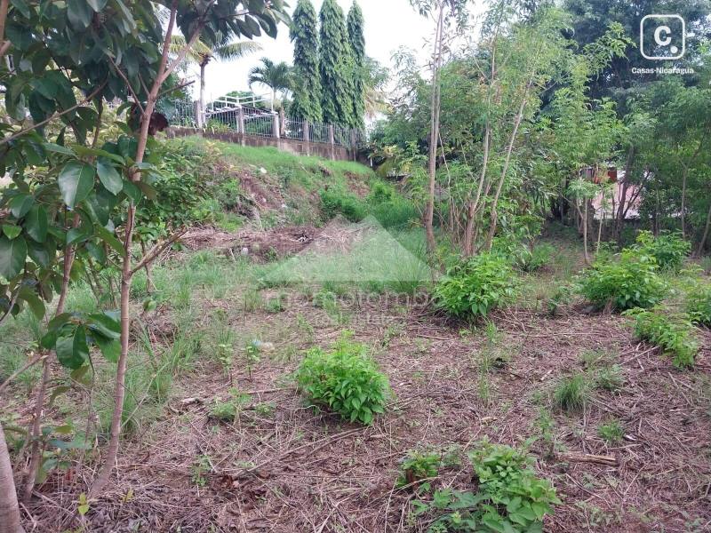 Terreno en venta en Carretera Sur, Managua – 1,315 varas²