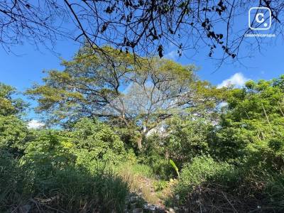 Terreno en venta en Carretera Sur, Managua – 4,525 varas²