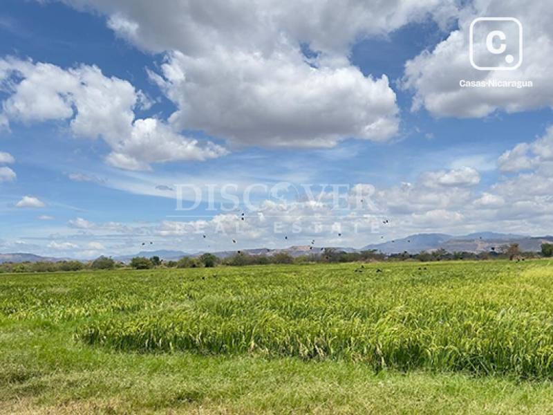 Finca en venta en Sébaco, Matagalpa – 2,400,000 varas²