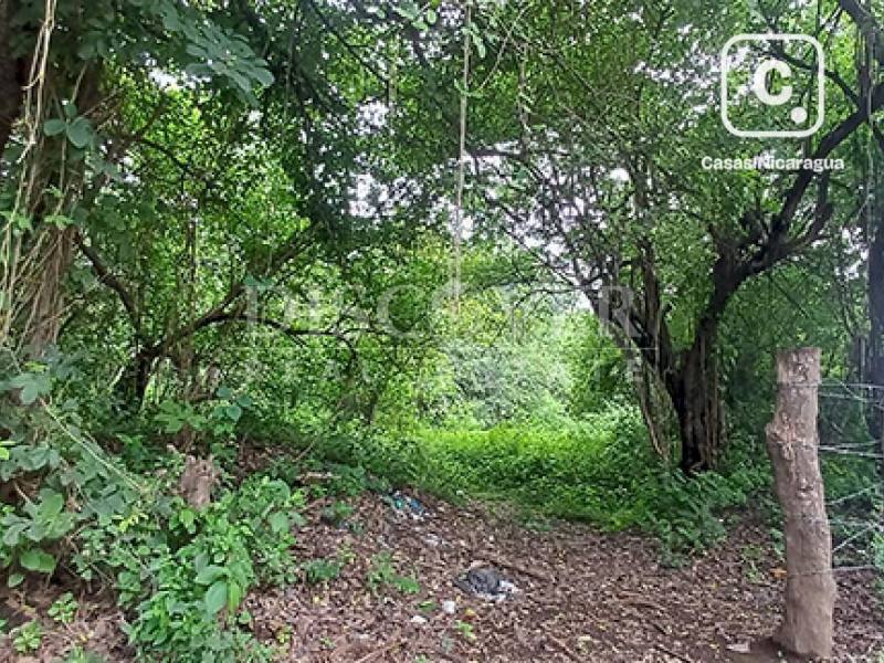 Terreno en venta en Tipitapa, Managua – 766,700 varas²