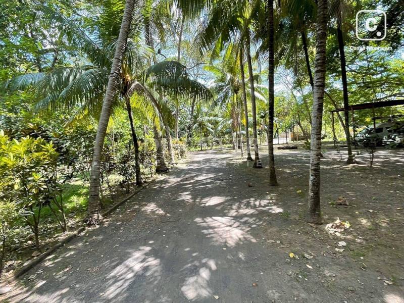 Casa en venta en Carretera Nueva León, Managua – 6 hab, 1,136 m²